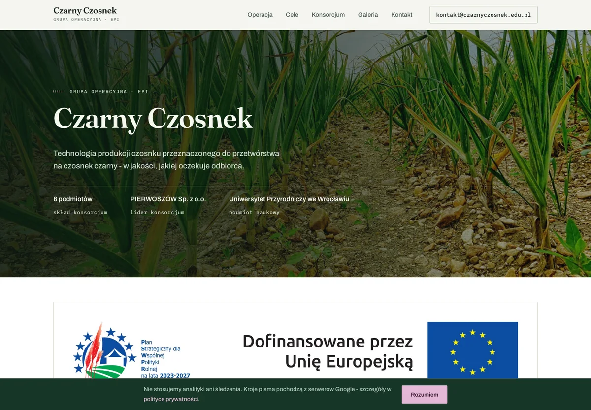 Realizacja, Czarny Czosnek, od pola do przetwórstwa